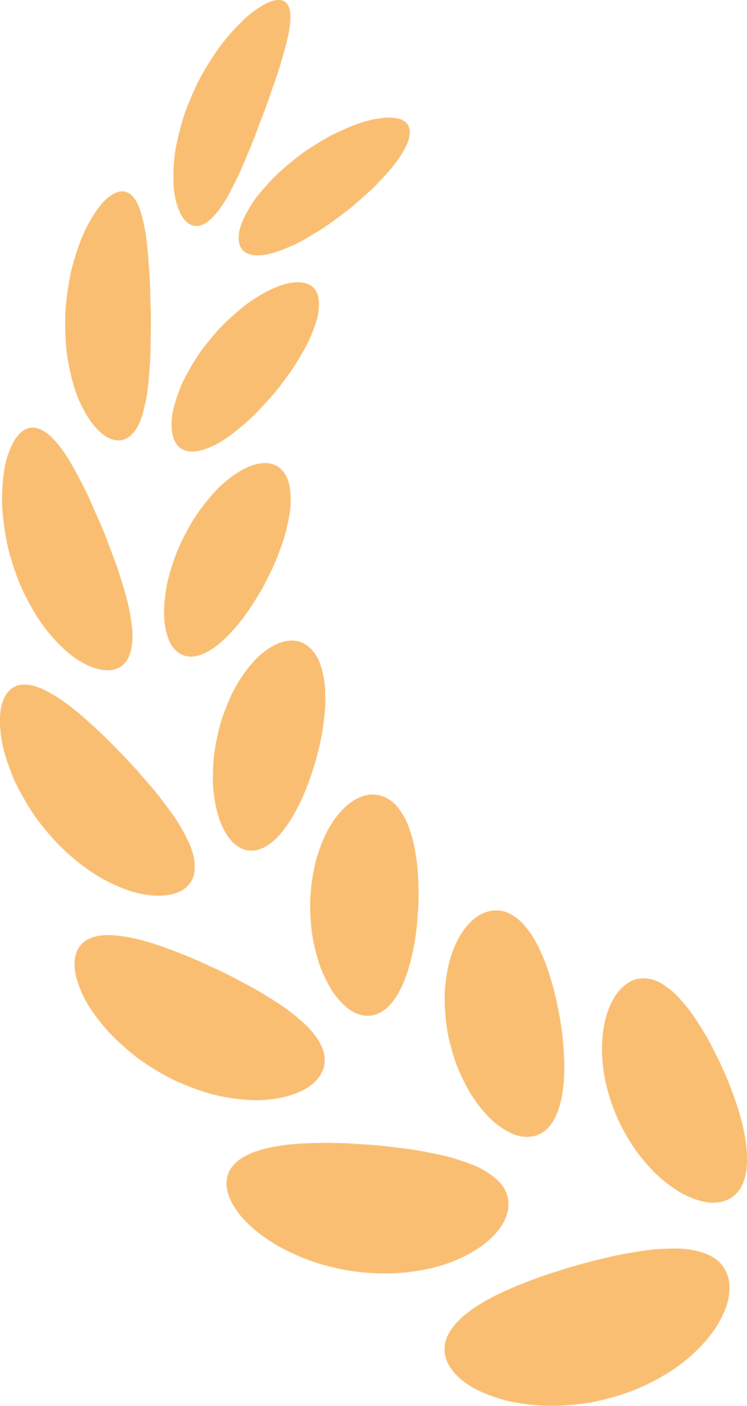 11.png